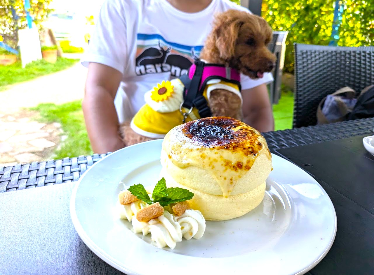 トイチパンケーキ