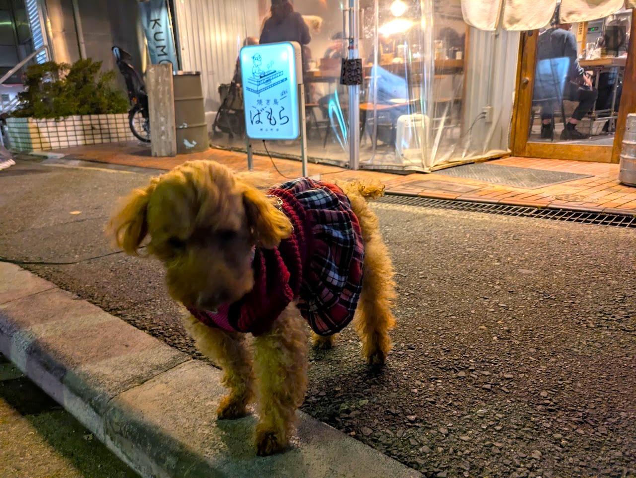 居酒屋