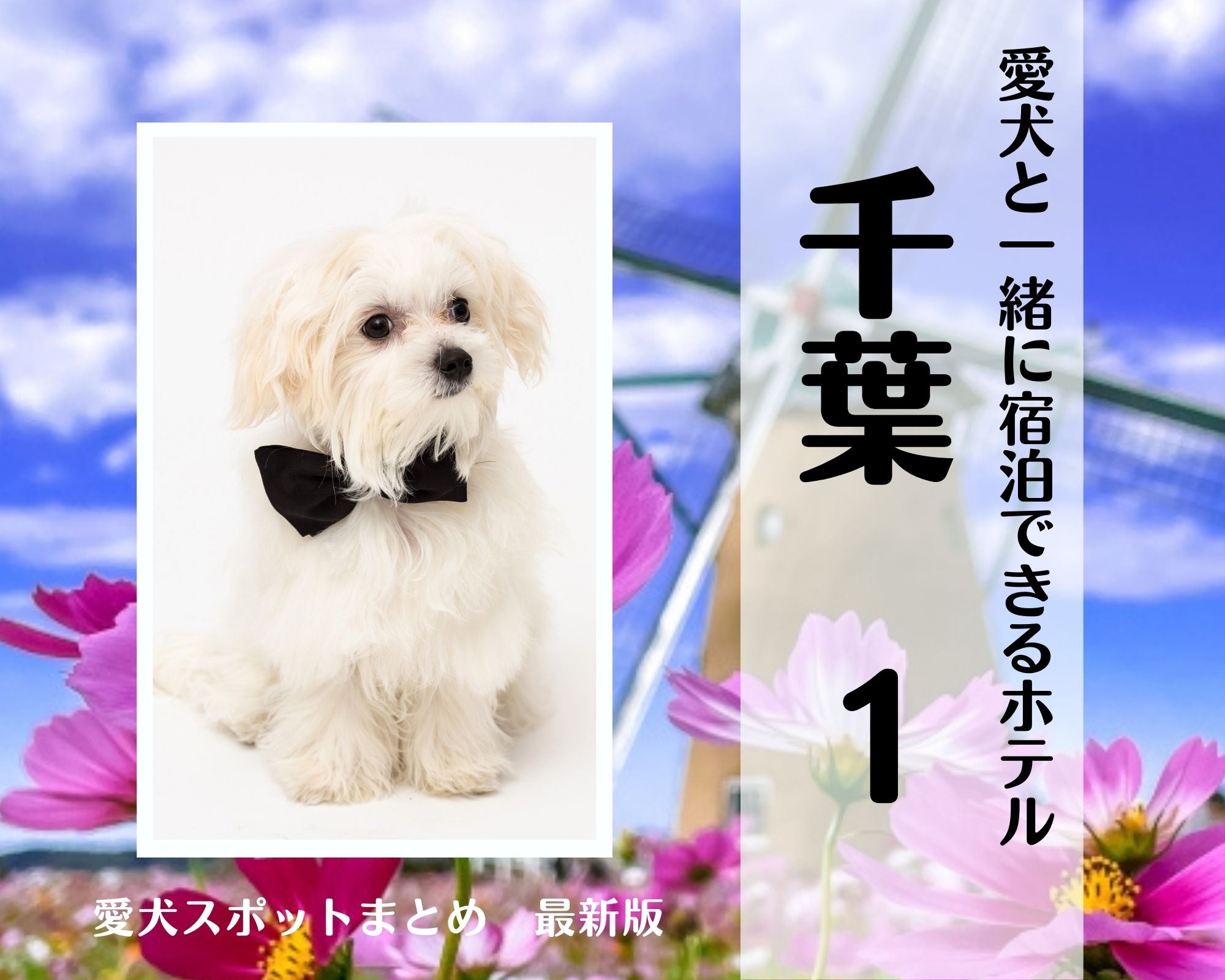 千葉