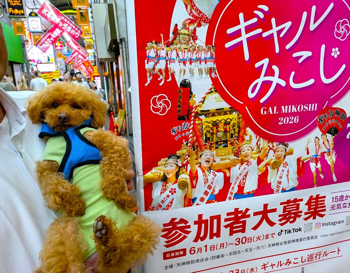 すしやコトブキツカサ天満店