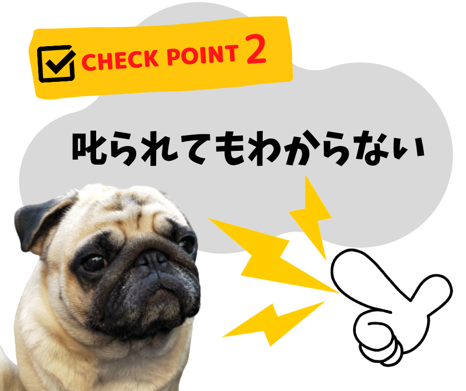 愛犬が自宅で感じるストレスは?早めに気づくためにチェックしよう!
