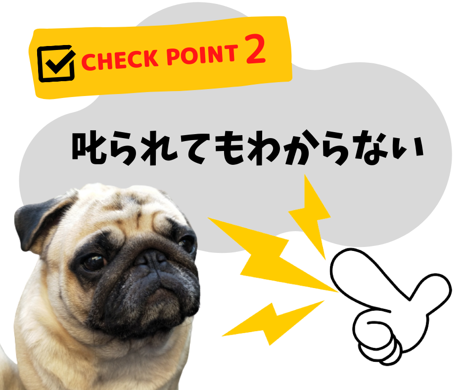 愛犬が自宅で感じるストレスは？早めに気づくためにチェックしよう!