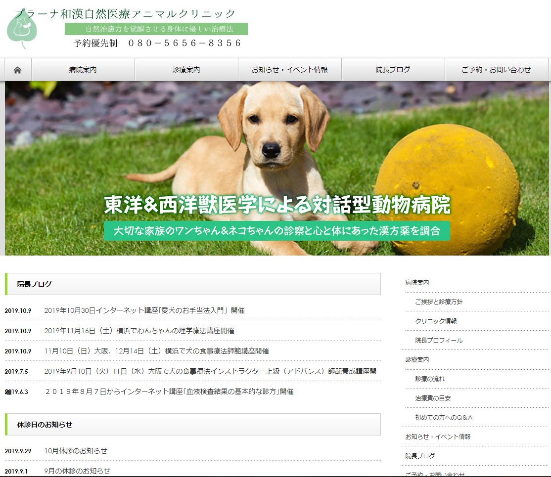 理学療法