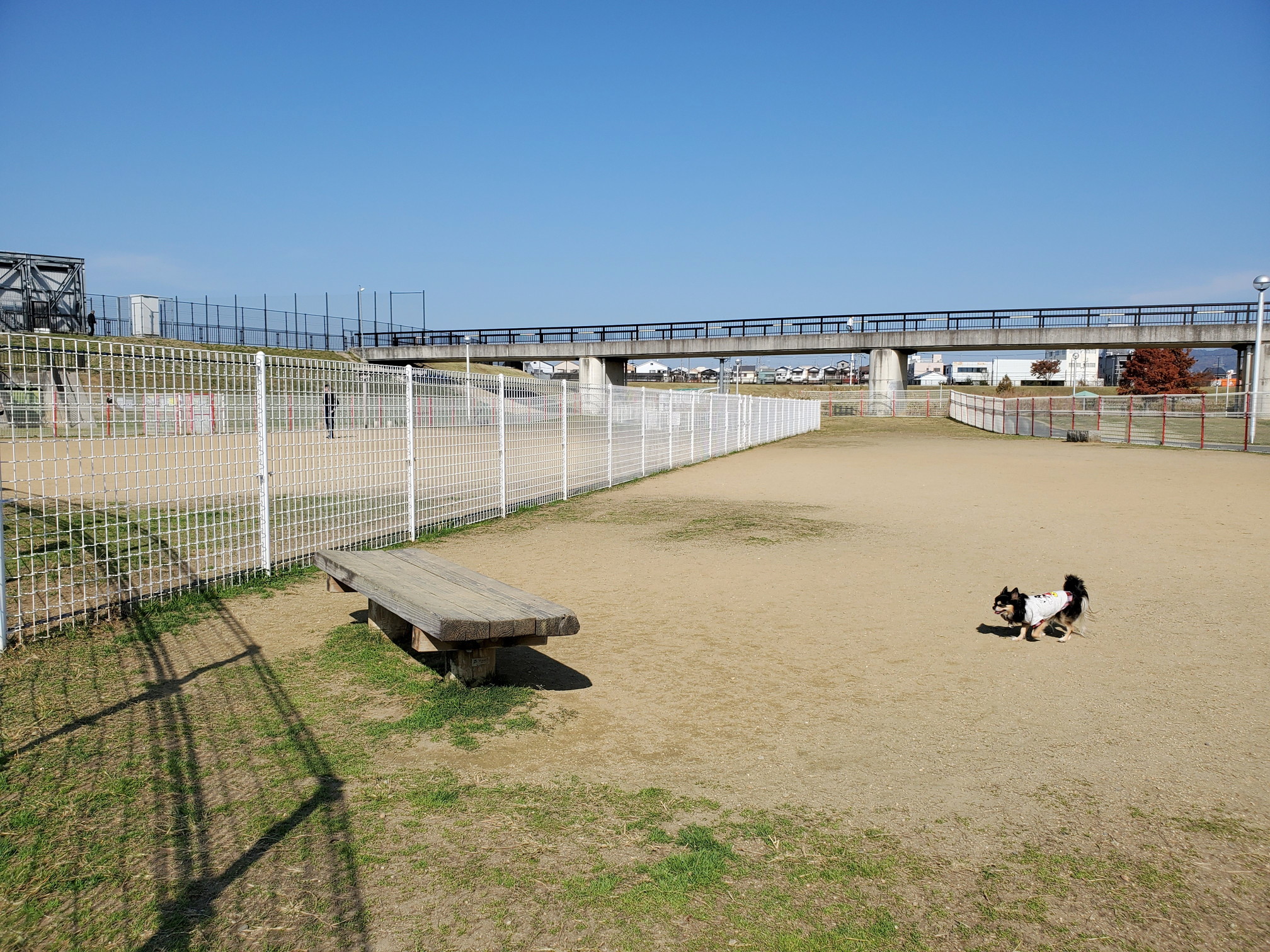 花園中央公園ドッグラン