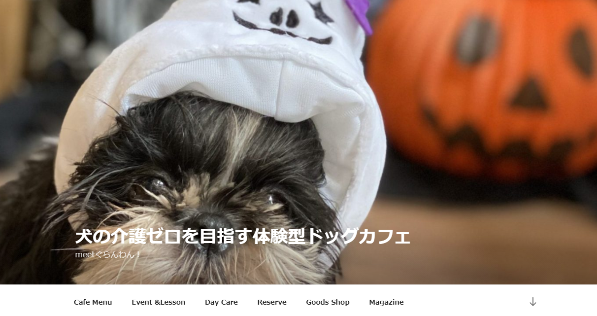 meetぐらんわん！シニア犬パーティ