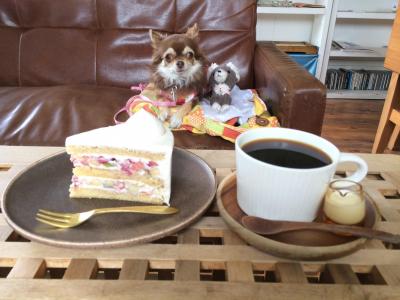 【関東】愛犬と美味しいケーキが食べられるお店