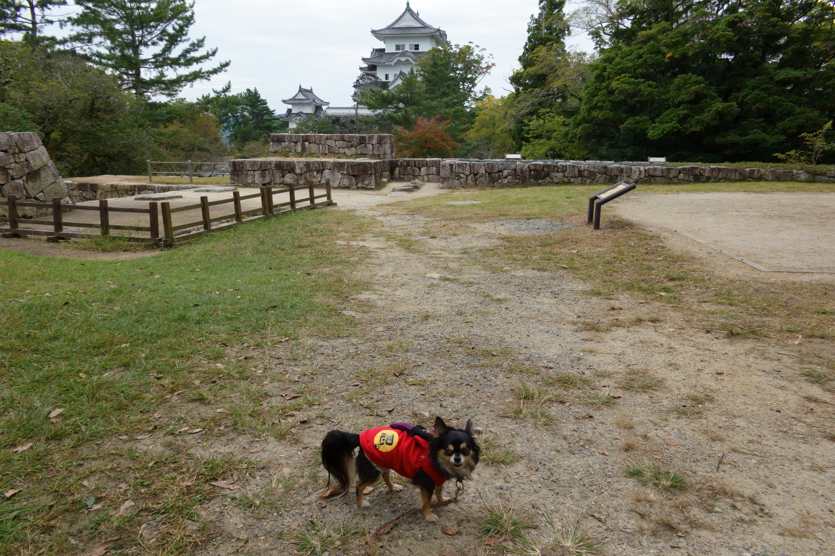 伊賀上野城