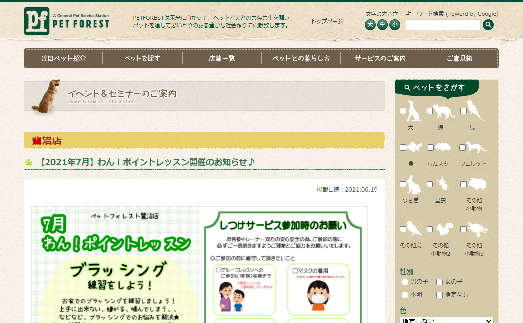 ペットフォレスト鷺沼店わん!ポイントレッスンブラッシング練習をしよう!