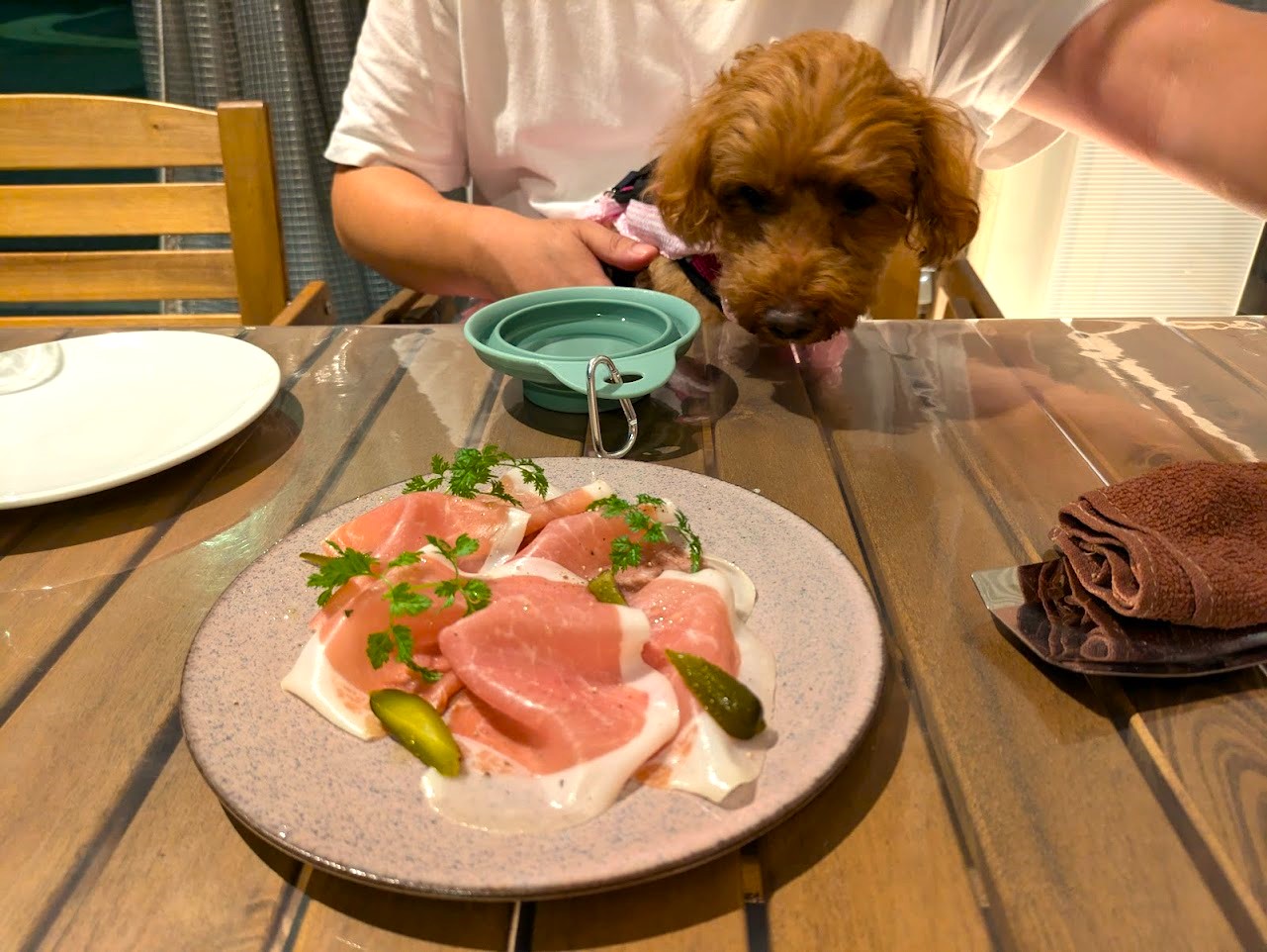 ビストロスリール