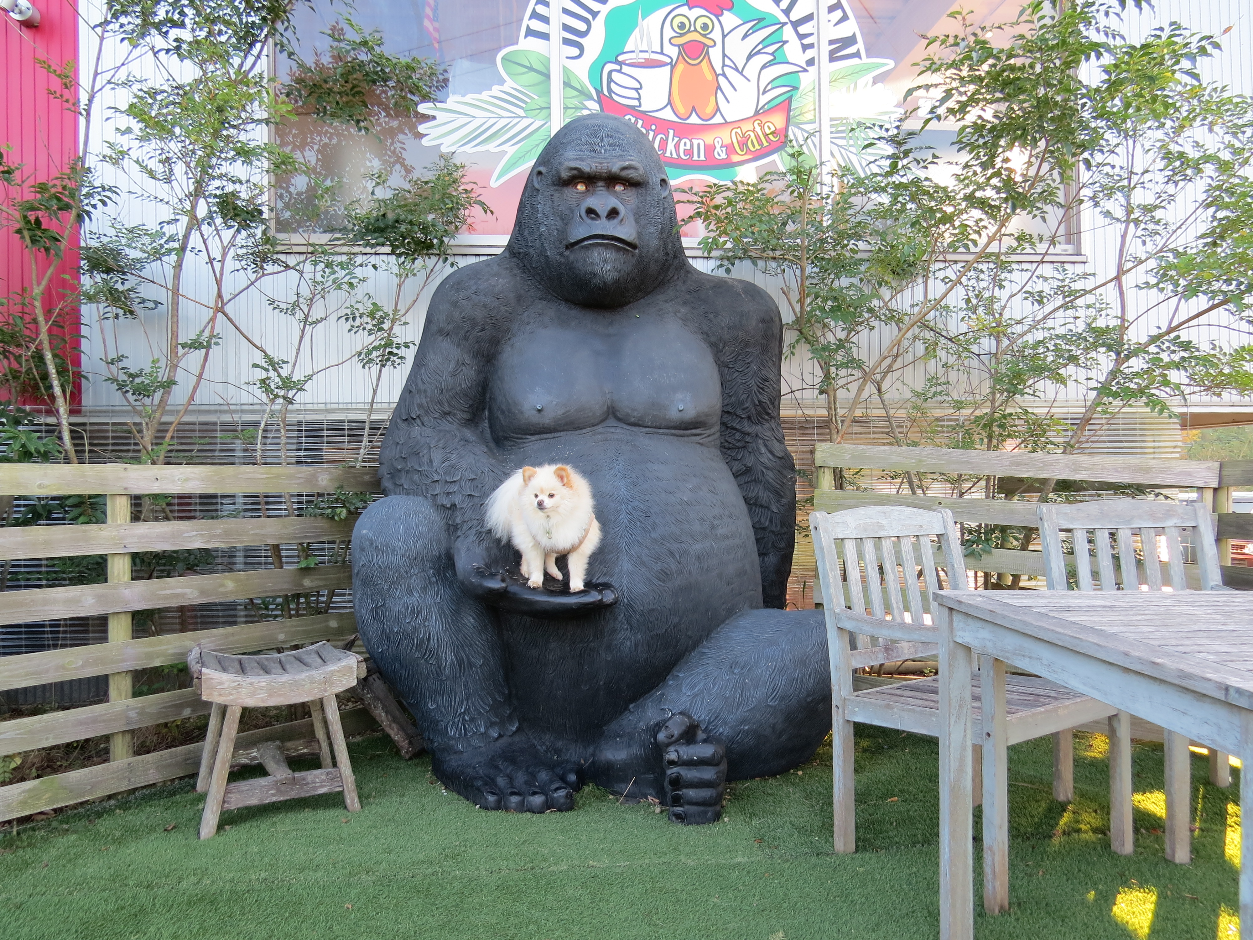 JANGLE CHICKEN(ジャングルチキン)