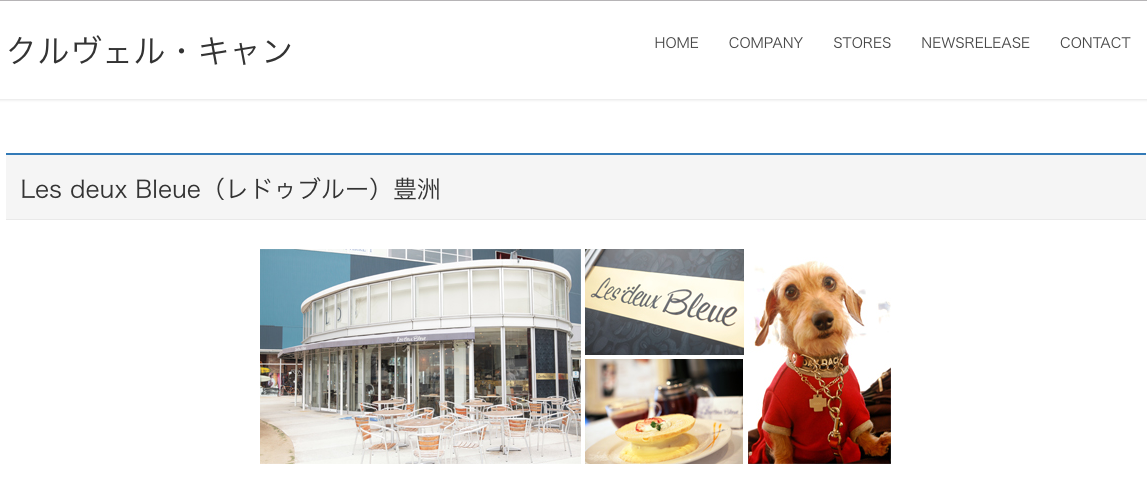 【関東】〜屋内の愛犬インスタ映えスポット まとめ〜