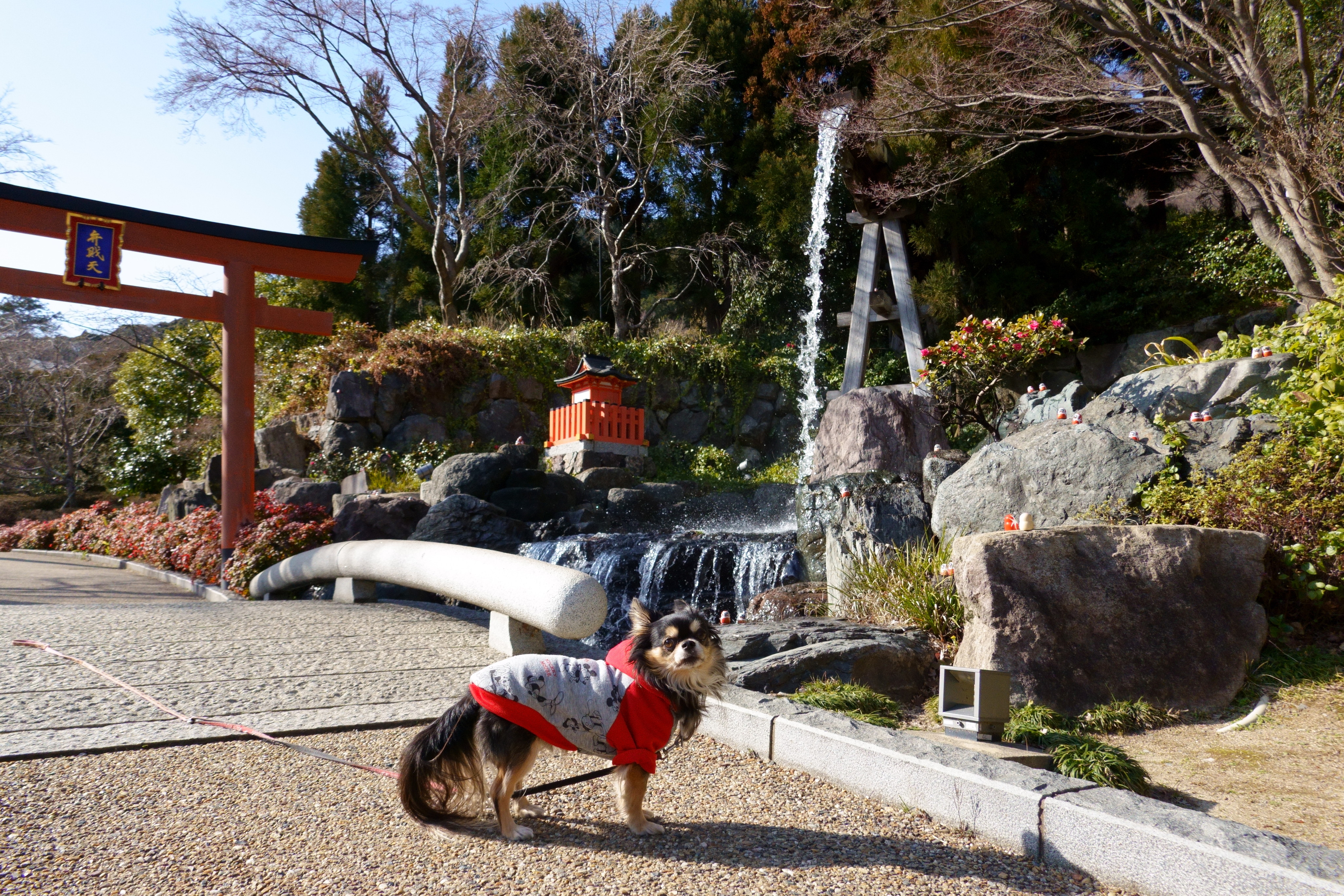 開運の寺 勝尾寺(かつおじ)