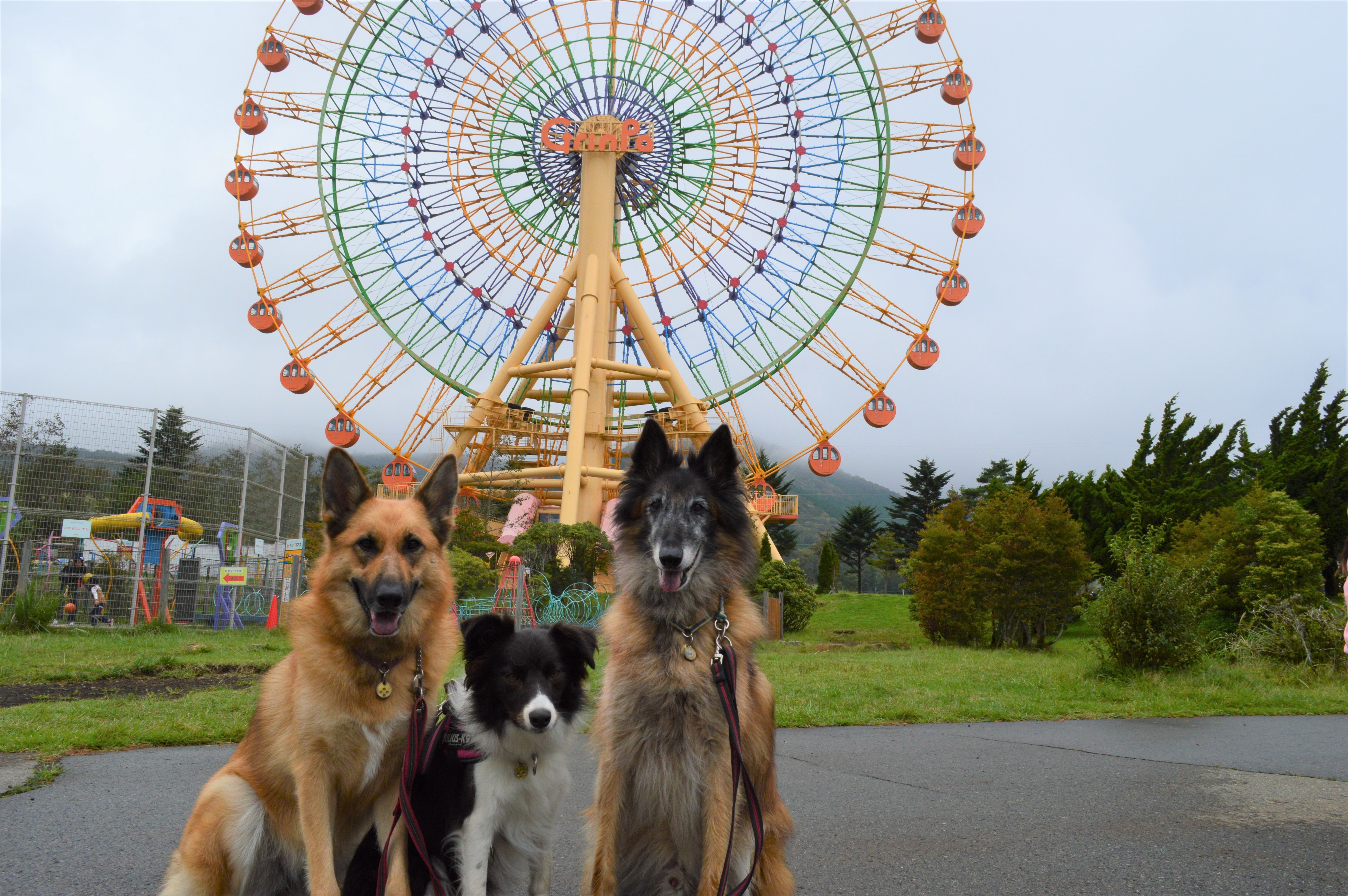 犬 と 行ける 遊園 地