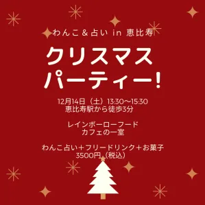 【関東・関西】愛犬とクリスマス気分を満喫できるお店