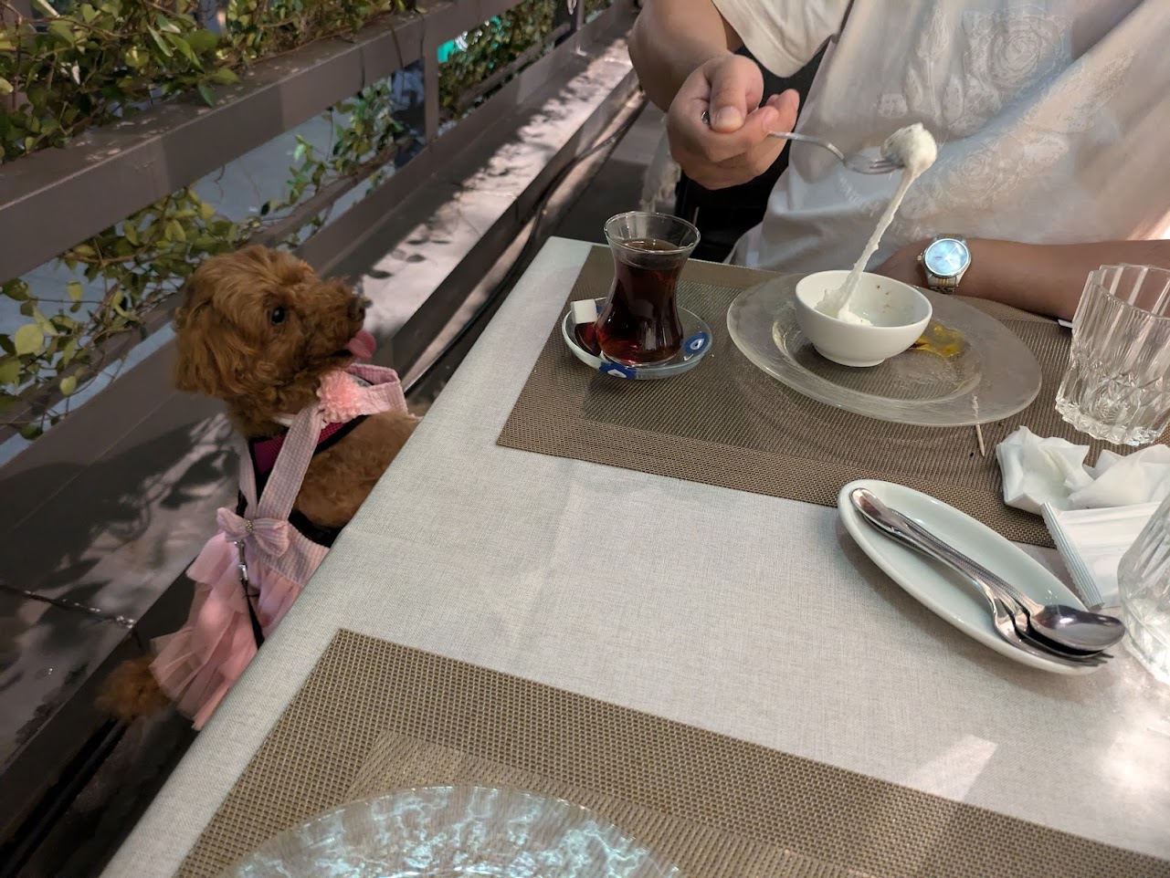 メッゼ堀江トルコカフェ&レストラン