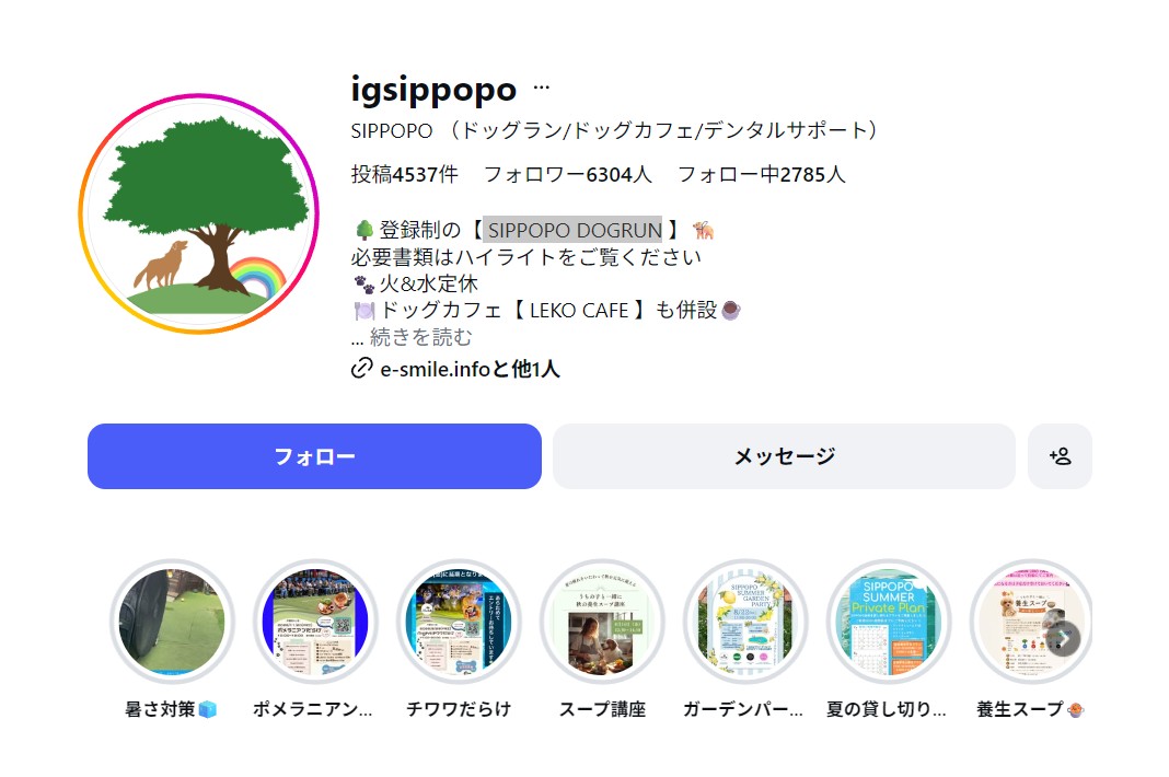 犬種別オフ会『チワワだらけ』