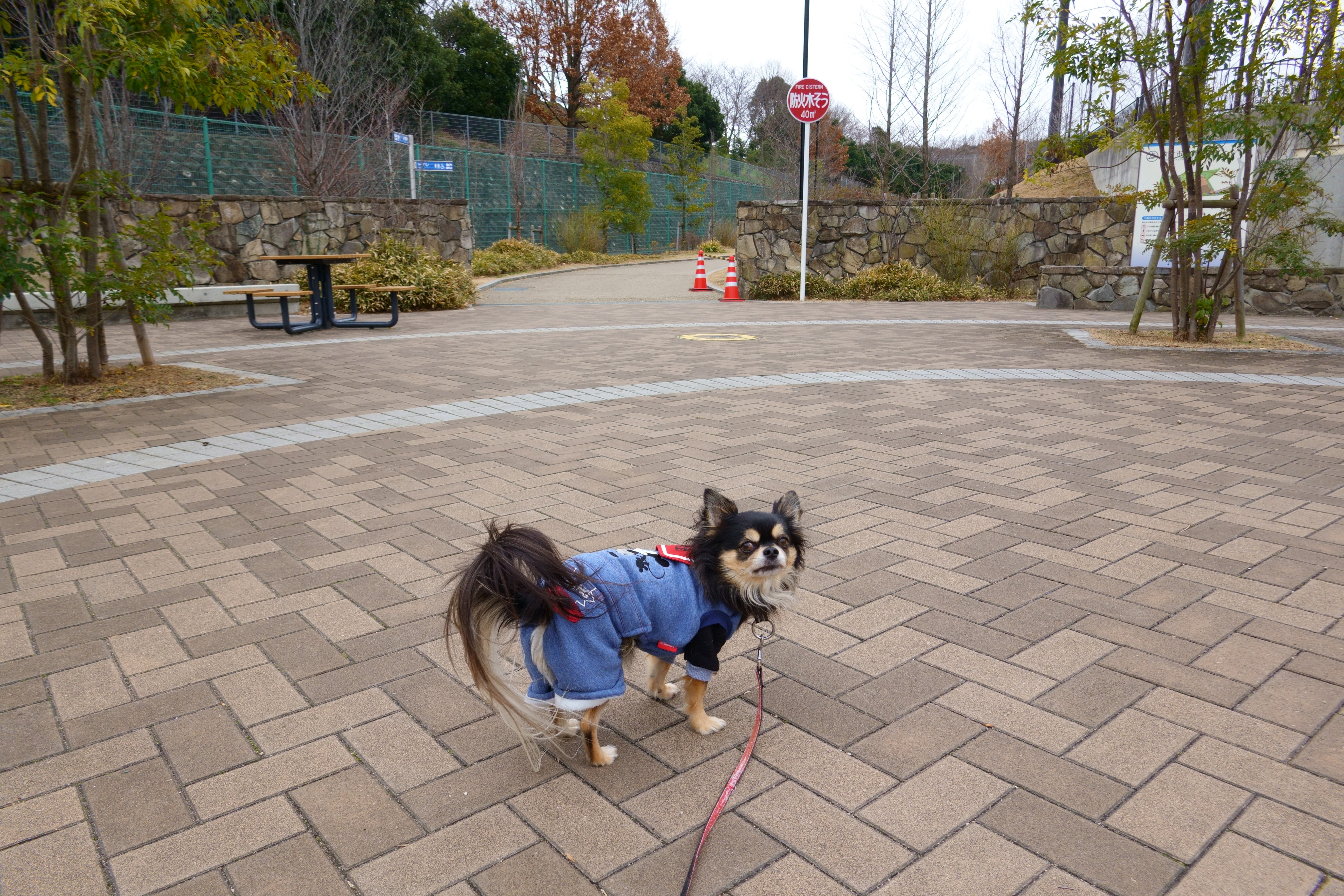 京阪馬廻バス停 東部公園ドッグラン 無料開放のドッグラン 大阪府枚方市 ペットと一緒