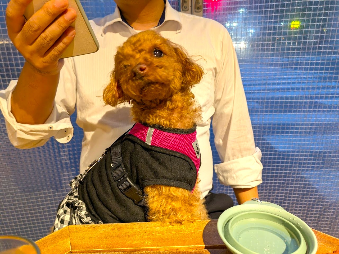 炭焼TOKI