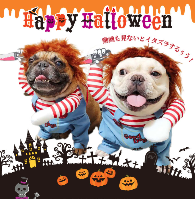 「愛犬とおうちでハロウィンを楽しもう!」ペットと一緒編集部