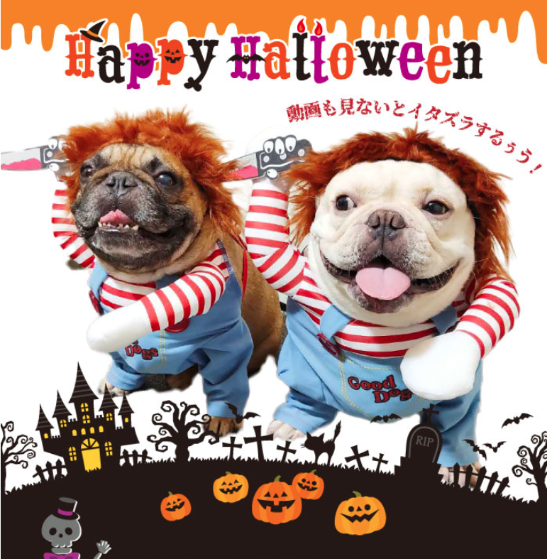 「愛犬とおうちでハロウィンを楽しもう！」ペットと一緒編集部