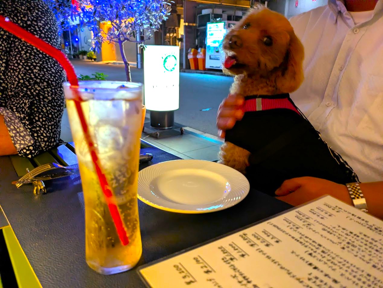 ピッコロモンド