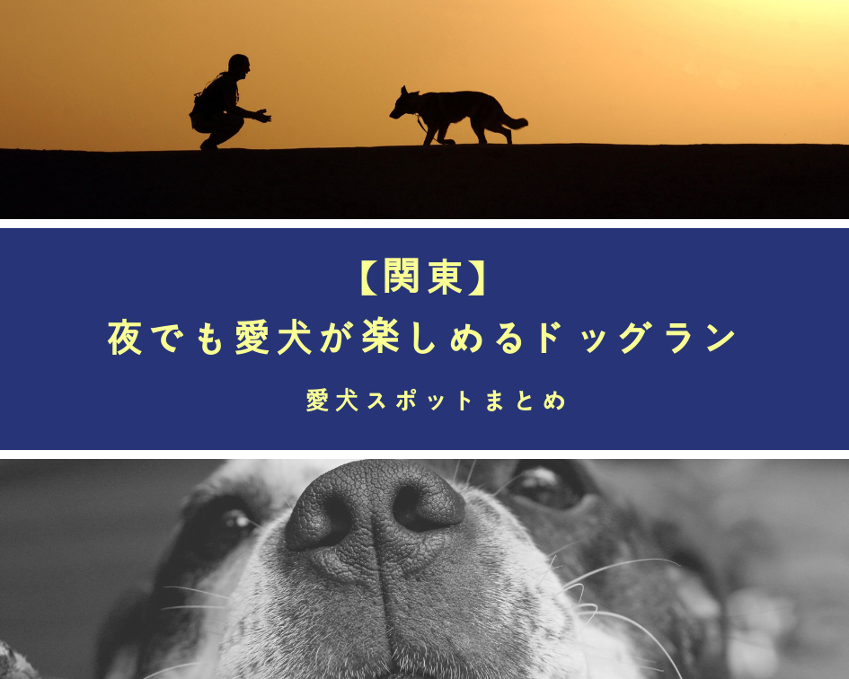 関東 夜でも愛犬が楽しめるドッグラン ペットと一緒