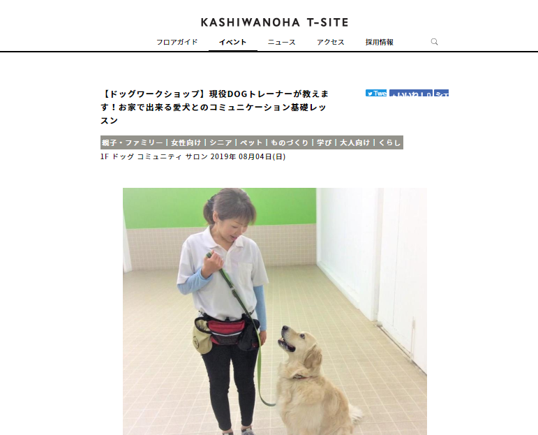 お家で出来る愛犬とのコミュニケーション基礎レッスン