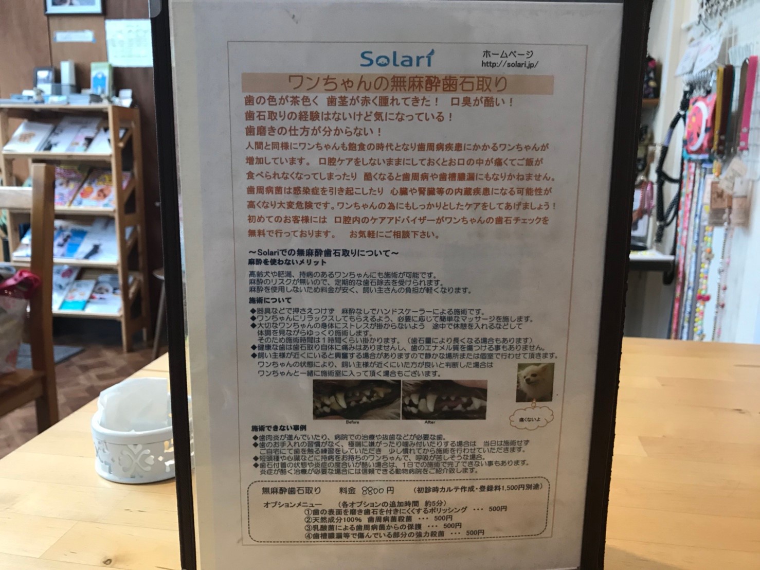 solari(そらり)