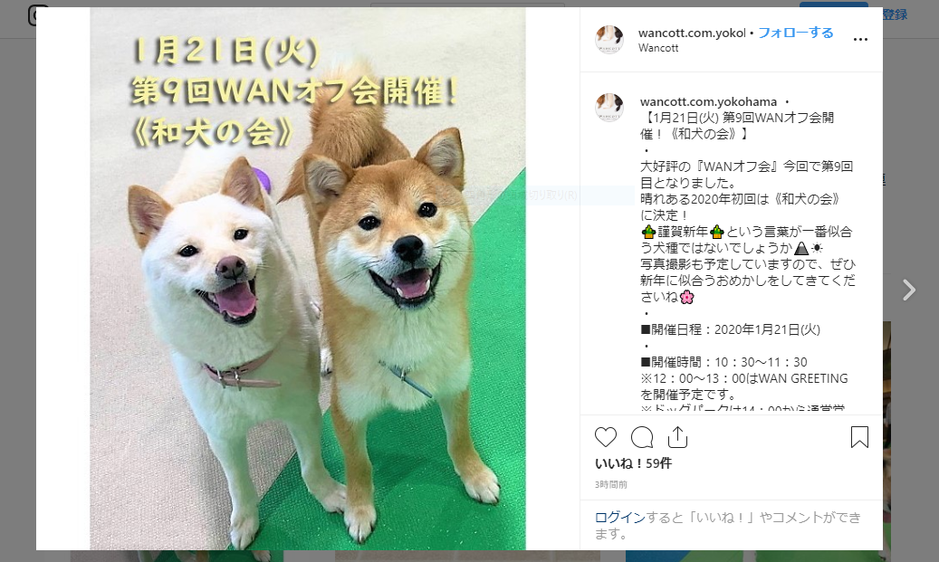 WANCOTT和犬の会