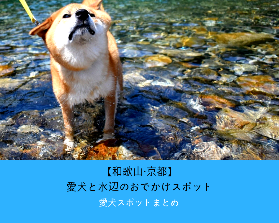 【和歌山・京都】愛犬と水辺のおでかけスポット〜西日本編　part3〜