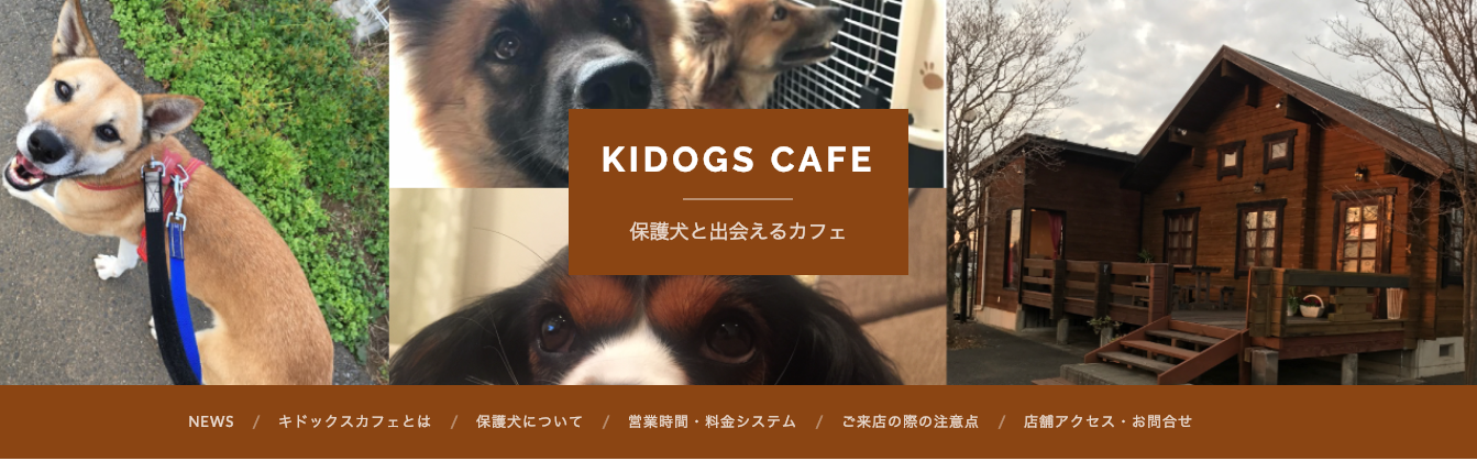 【関東・関西】〜保護犬カフェまとめ〜