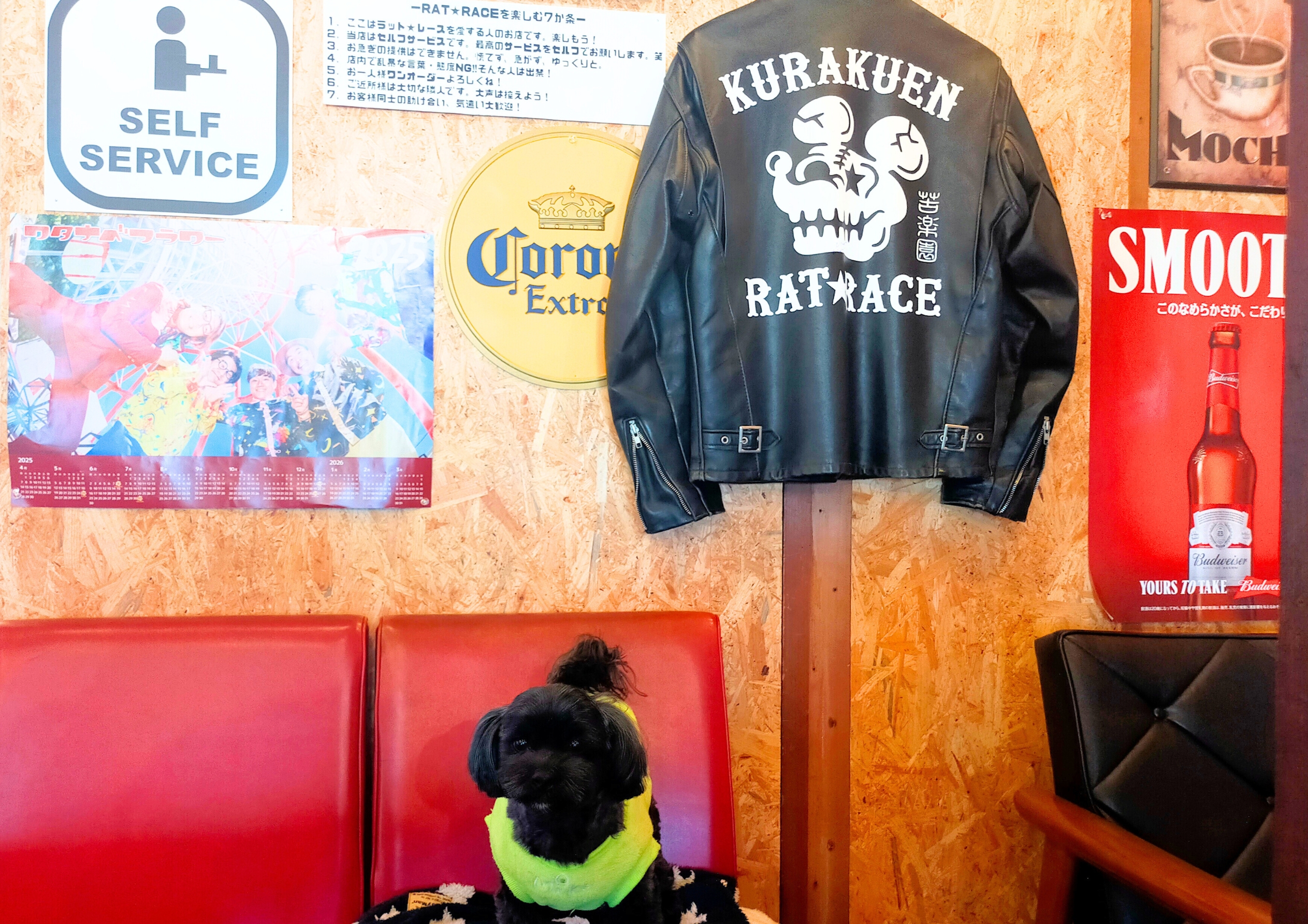 RAT★RACEBASE