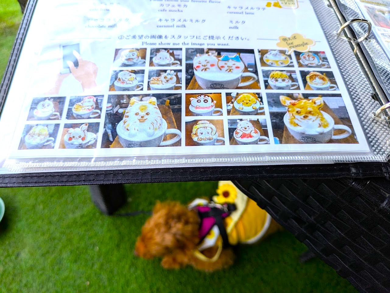 トイチパンケーキ
