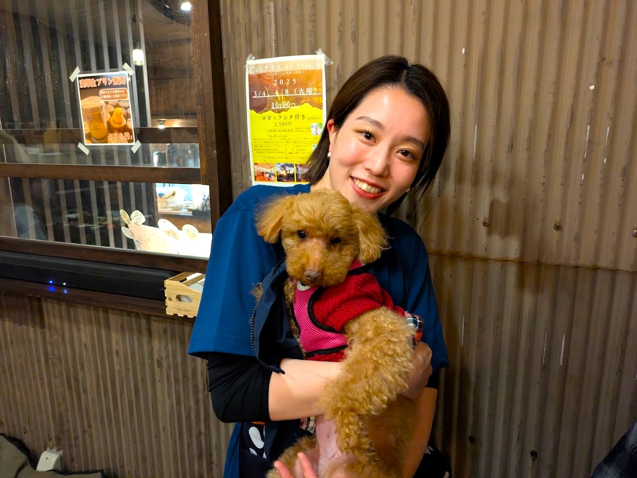 春巻きとよだれ鶏酔いしば谷町六丁目