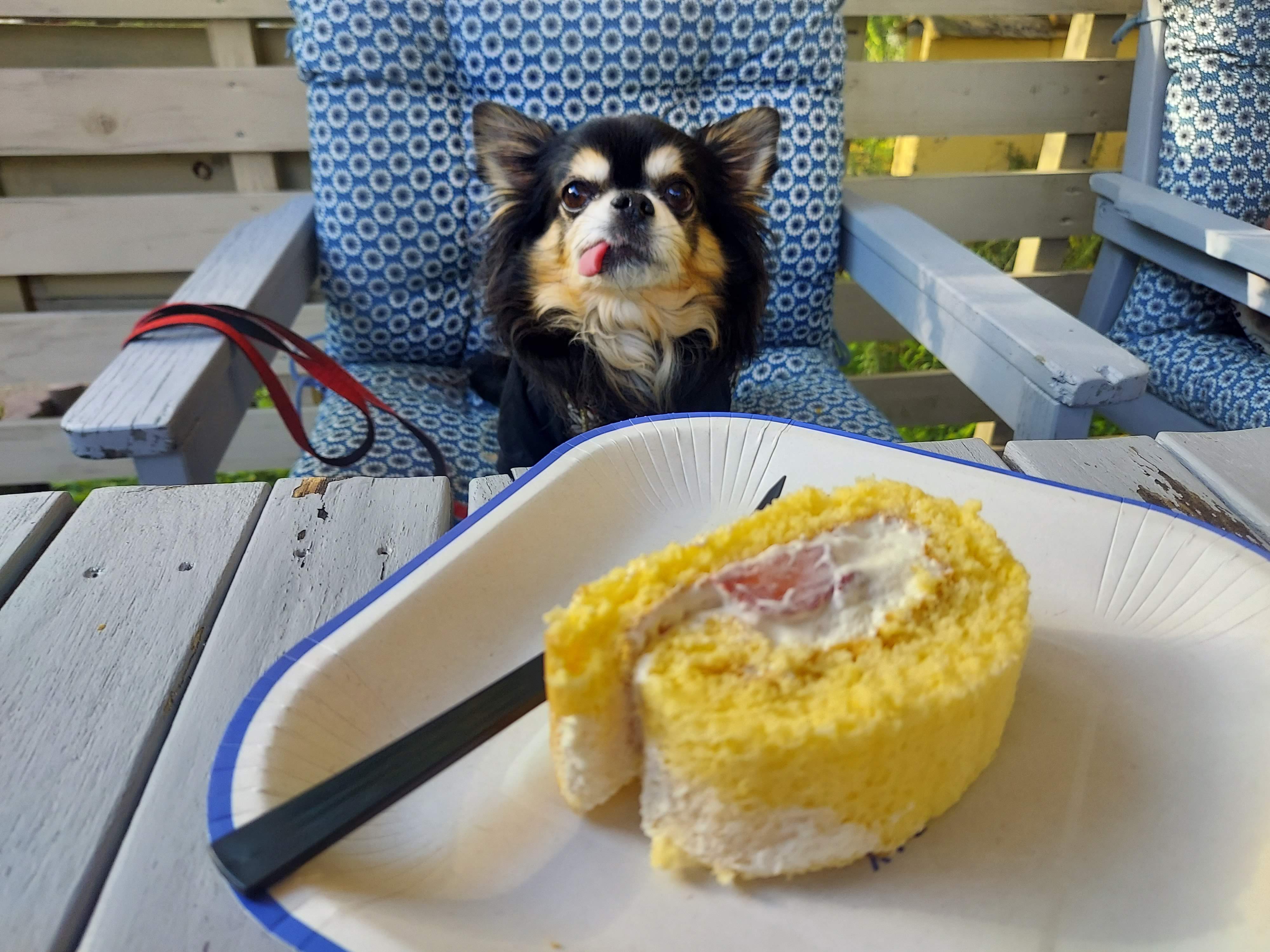 gongoncafe(ごんごんカフェ)