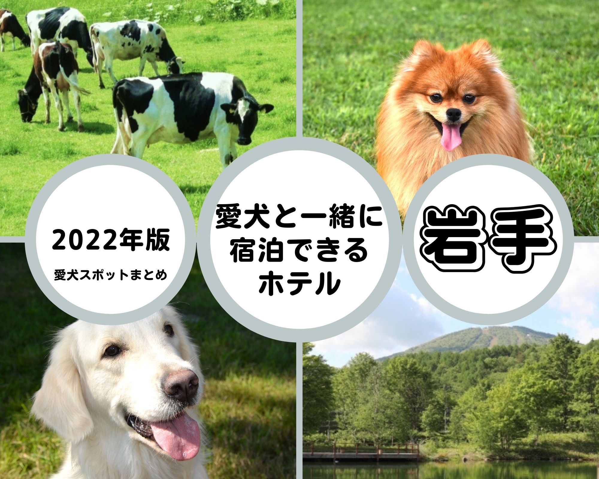【2022年版】岩手 愛犬と一緒に宿泊できるホテル