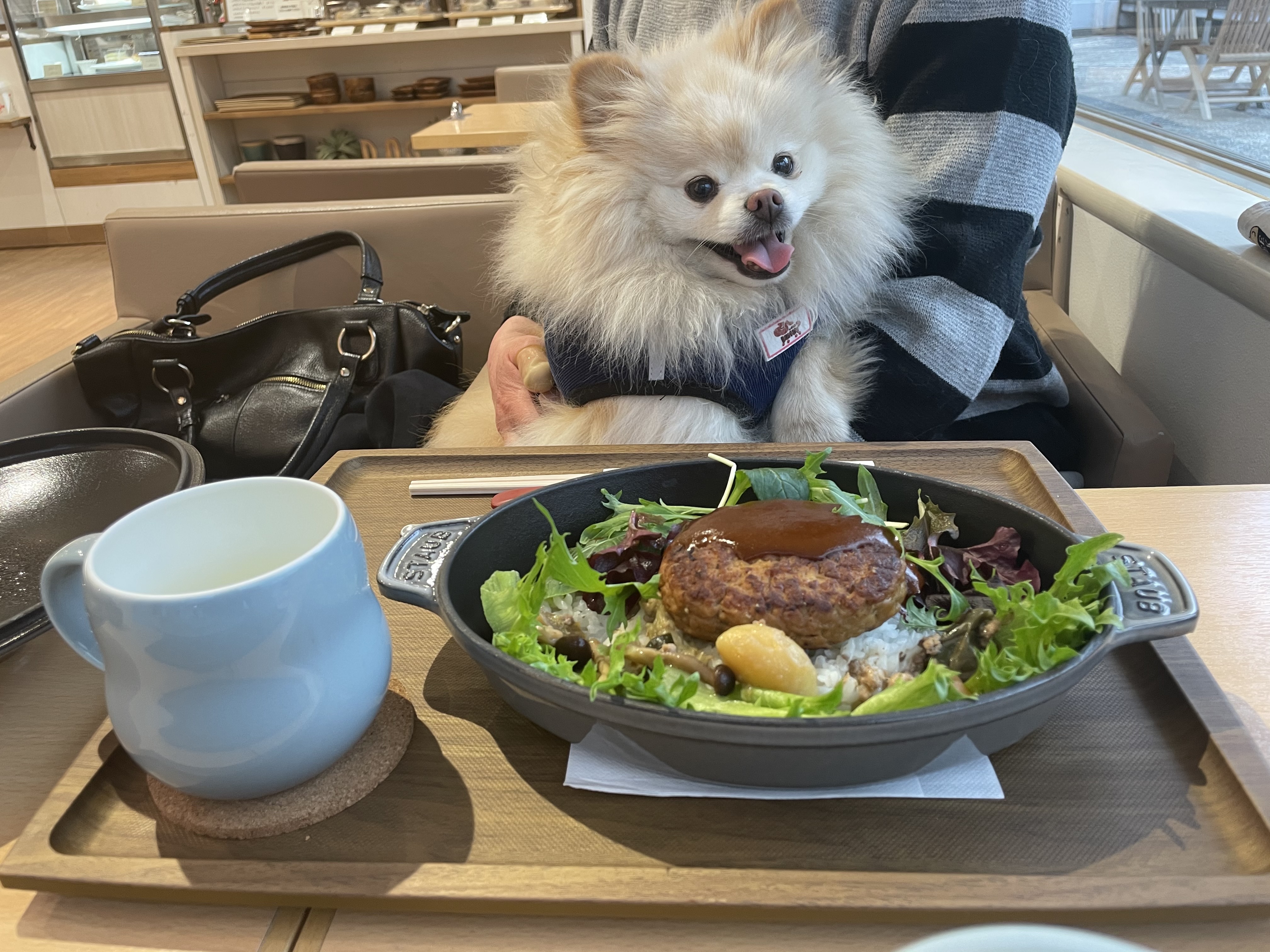 HELLO CAFE by DOG UP VILLA