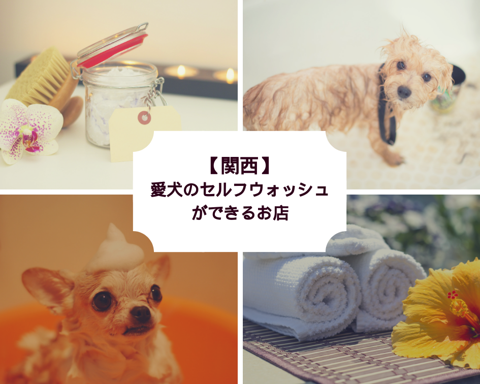 【関西】愛犬のセルフウォッシュができるお店