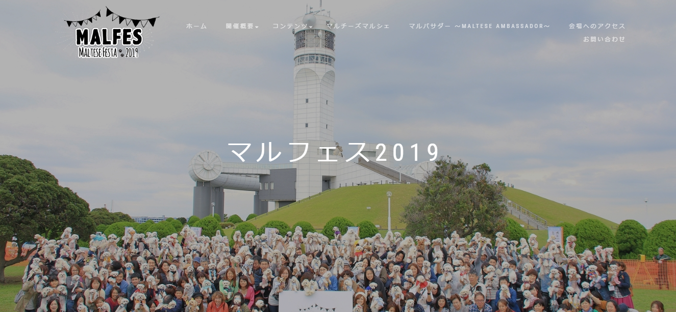 マルフェス2019