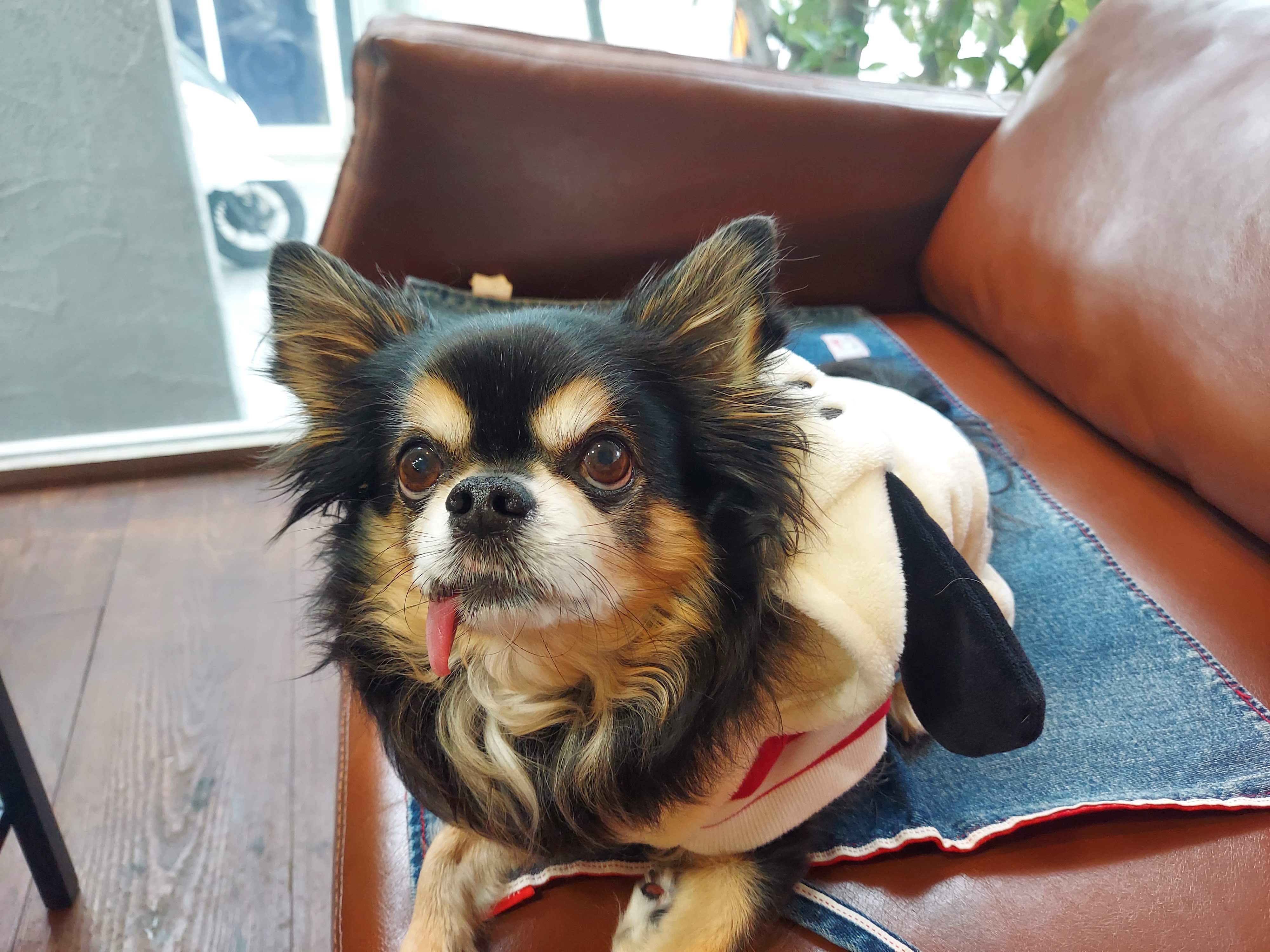 X.COFFEE（バイドットコーヒー）