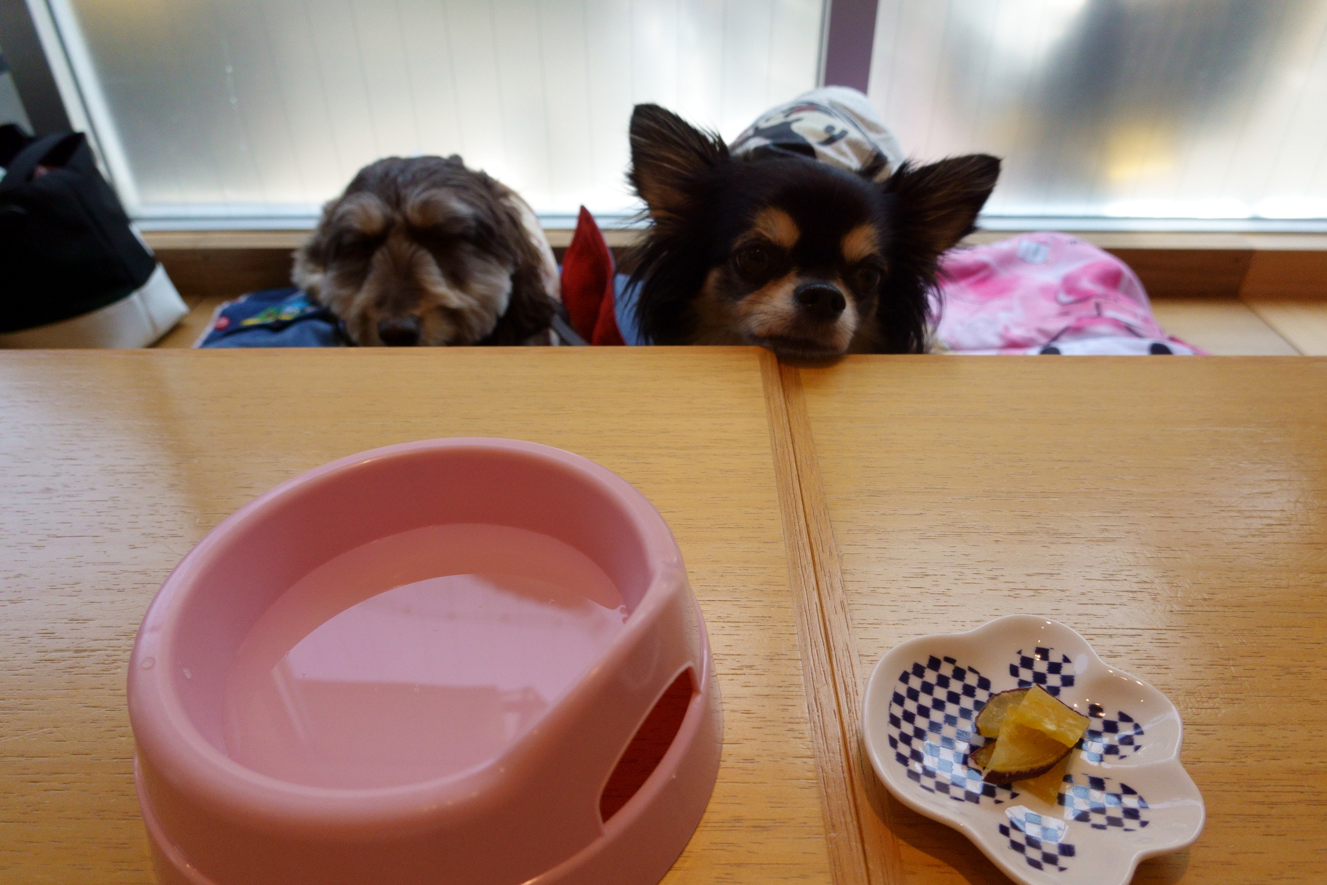 DogCafe ALAN（ドッグカフェ アラン）