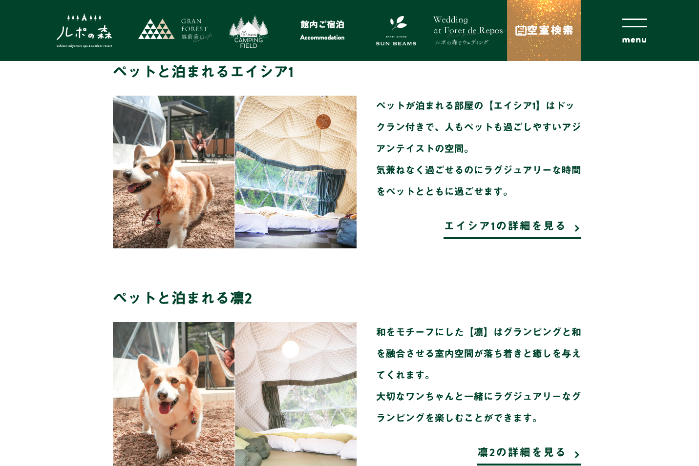 福井