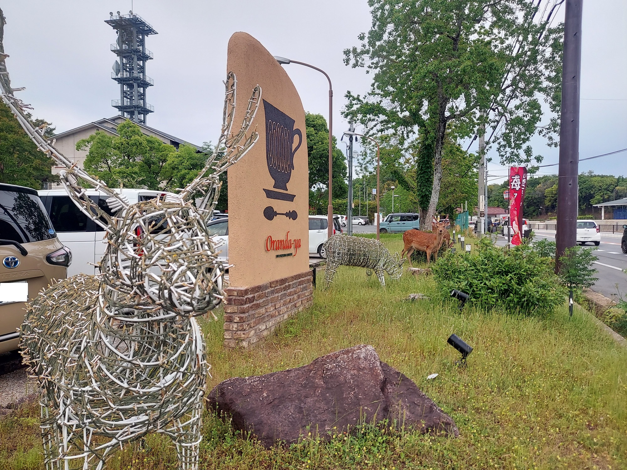 オランダ屋 奈良店