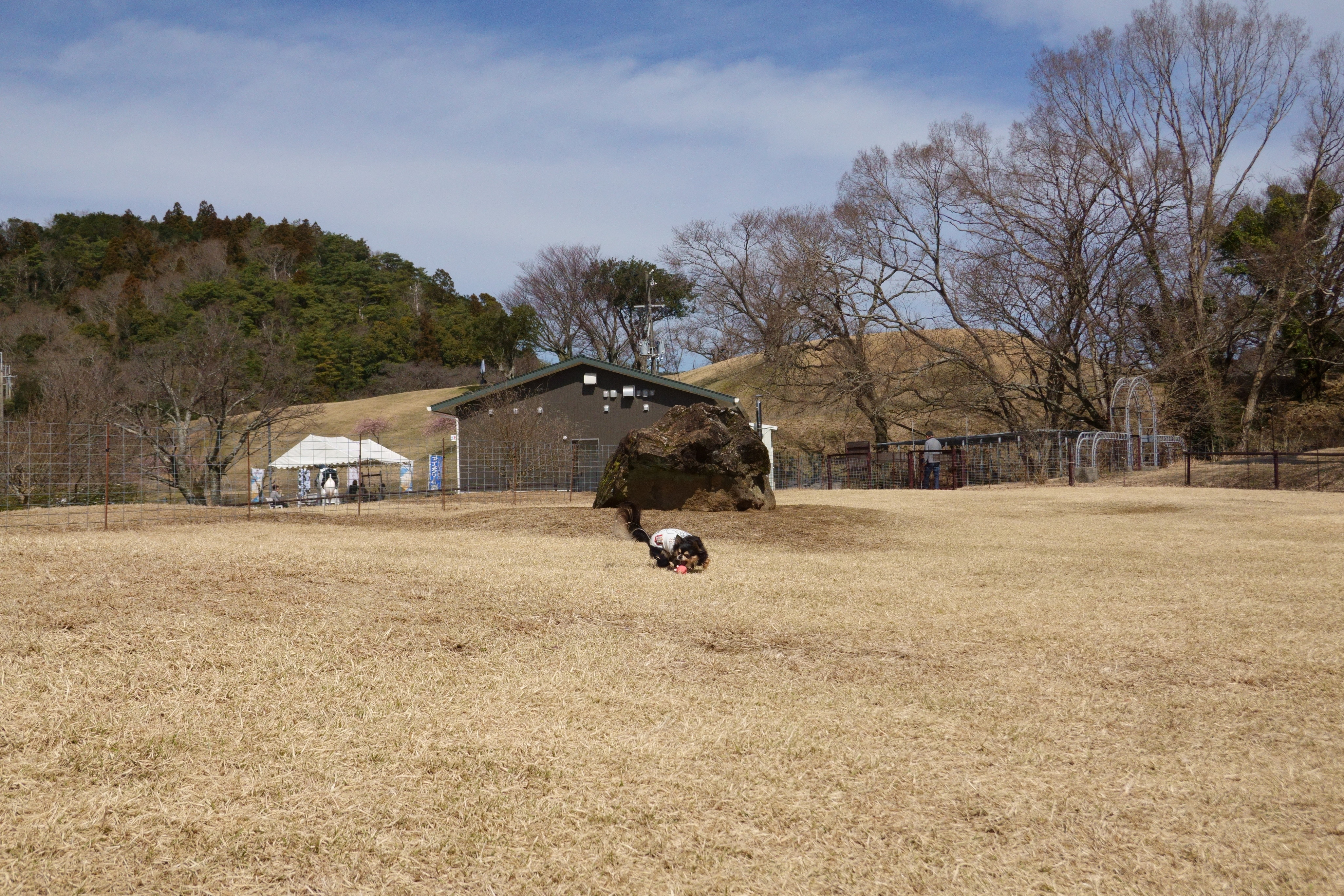 黒沢牧場