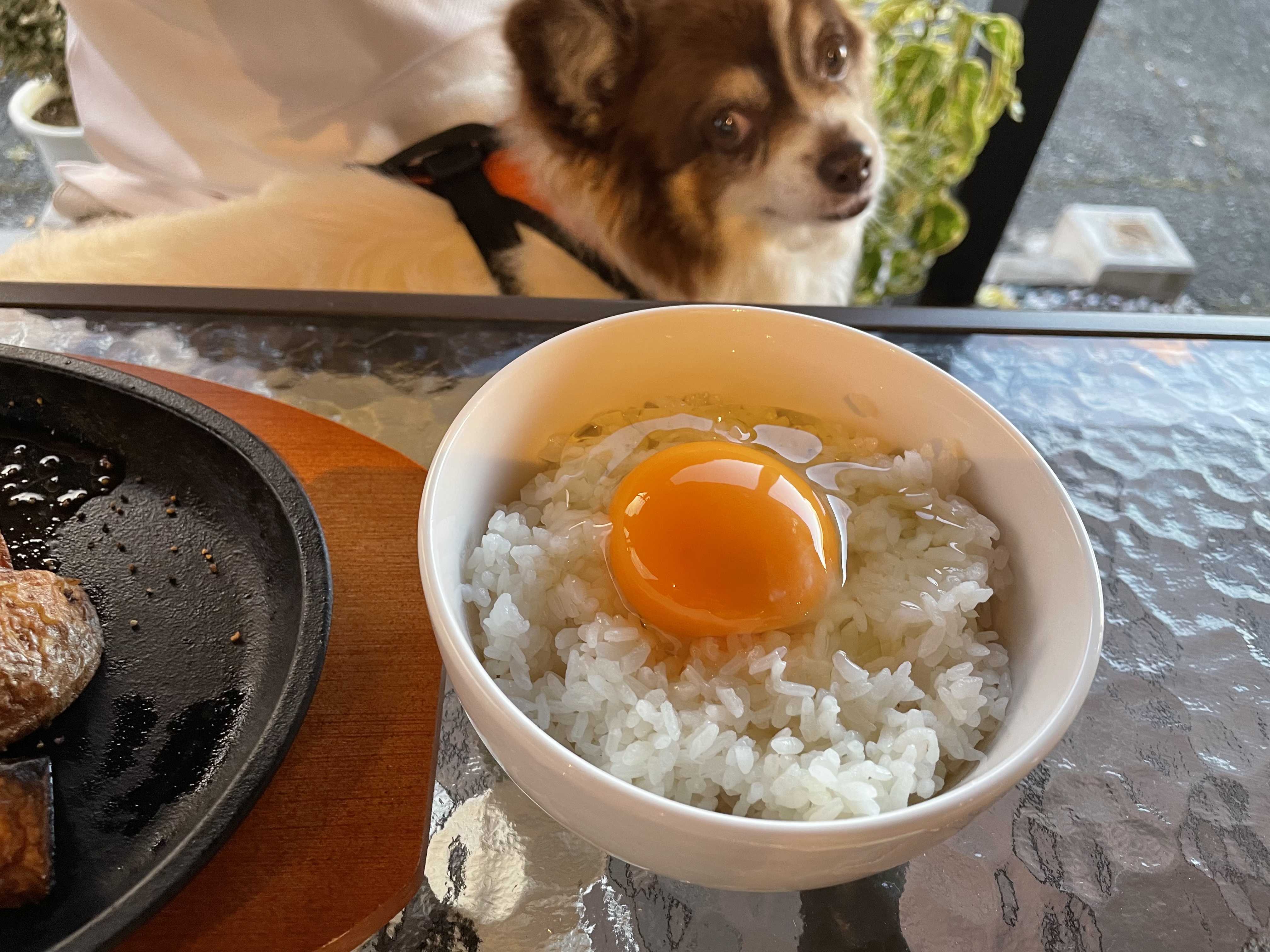 カフェニコラ 明石うみかぜテラス店