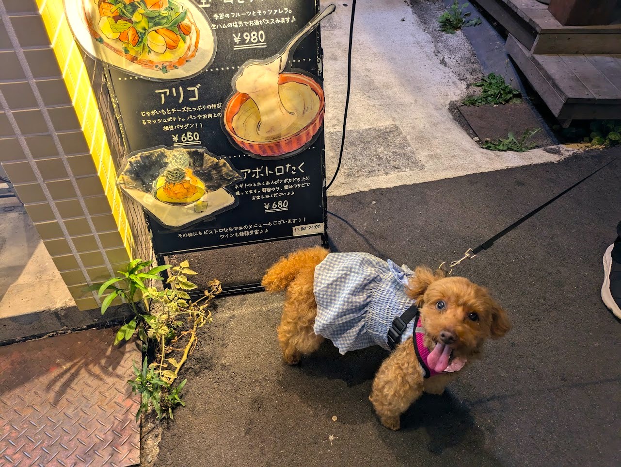 大衆ビストロうらきんぎょ福島