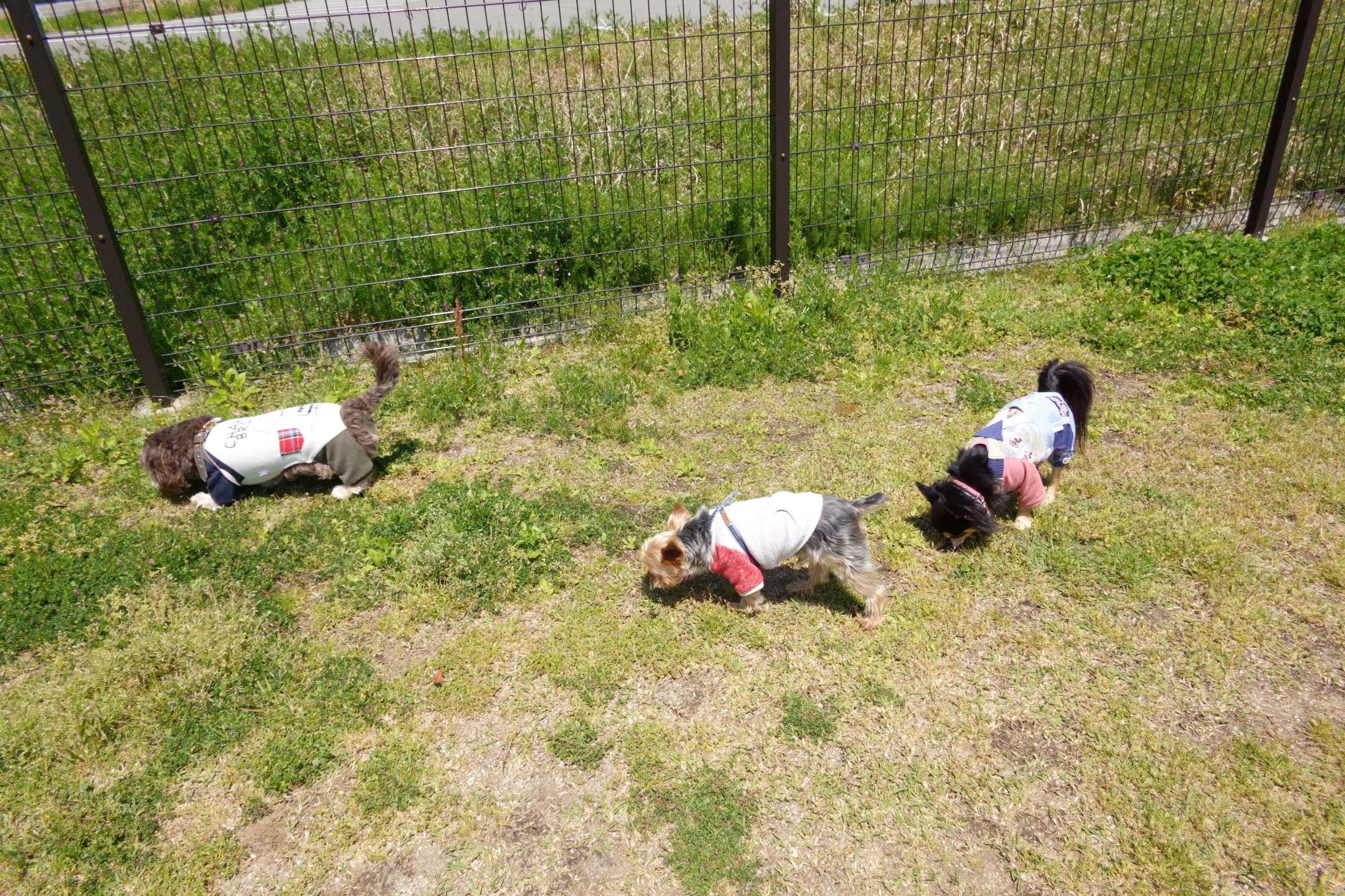 道の駅 お茶の京都 みなみやましろ村