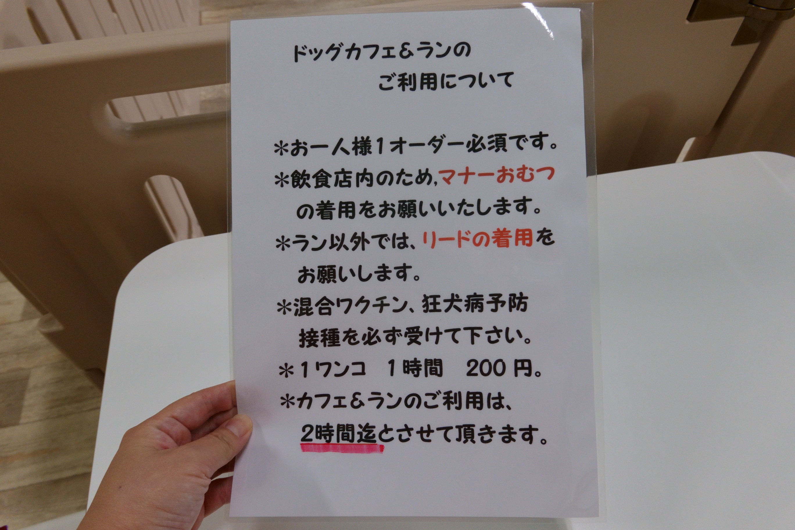 MOMOcafe(モモカフェ)