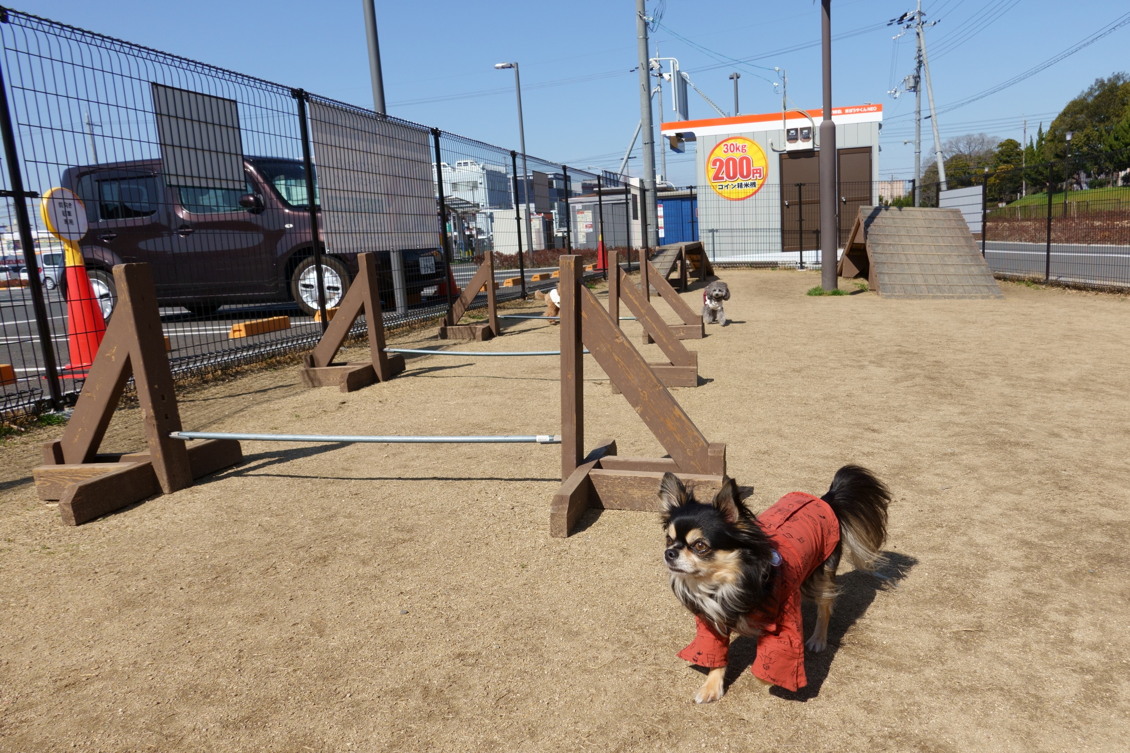 カインズ交野店ペッツワン