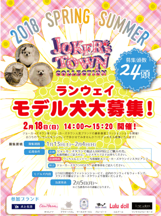 ランウェイモデル犬大募集!